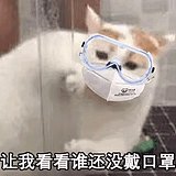 yyyyyyshhshsh的头像