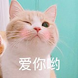 一只寒笙的头像