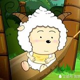 草原小青蛙的头像