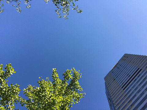 只是图片