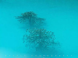 膠片云南（大理－雙廊－麗江）