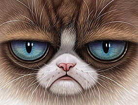 猫哥猫妹