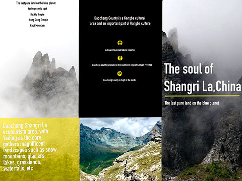 型录三折页——稻城