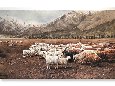 我的一群小咩羊