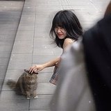 椰子zi的头像
