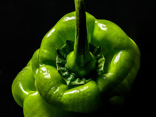「Portrait of food」· 食物肖像