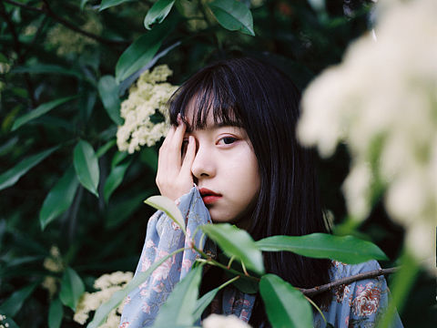 生如夏花