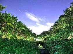 万科城夜行