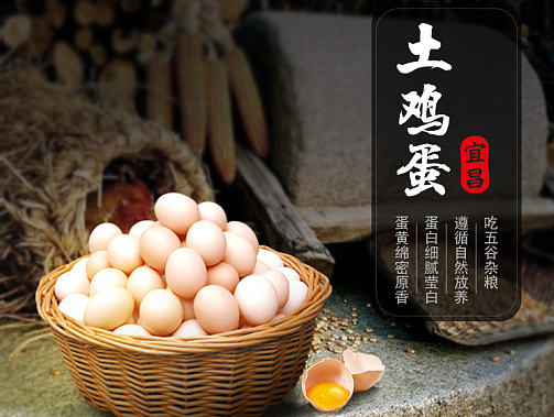 鸡蛋详情页案例
