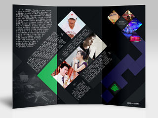 DM 三折页 VI画册 宣传单 小白杨文化传媒 平面广告