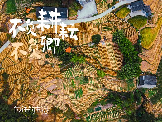 丰收季 | 不负耕耘，不负卿。