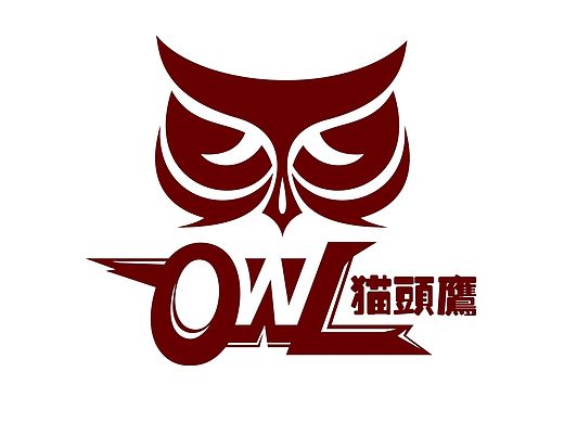 猫头鹰-OWL