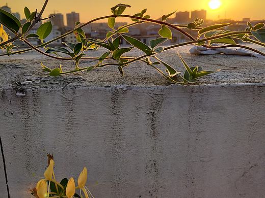 傍晚的露台（个人主页-ZNDQ0NTkzNDA=） - 风光摄影 - 站酷设计师依子6原创素材 - 站酷ZCOOL