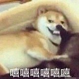 一块红布zzz的头像