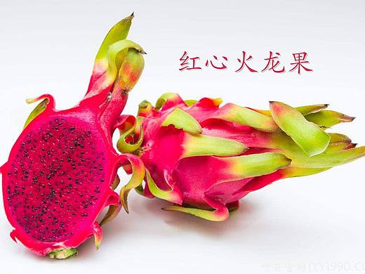 【YY日记】第394期 红心火龙果 2018-07-23