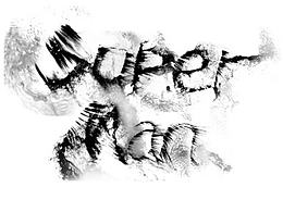 字体