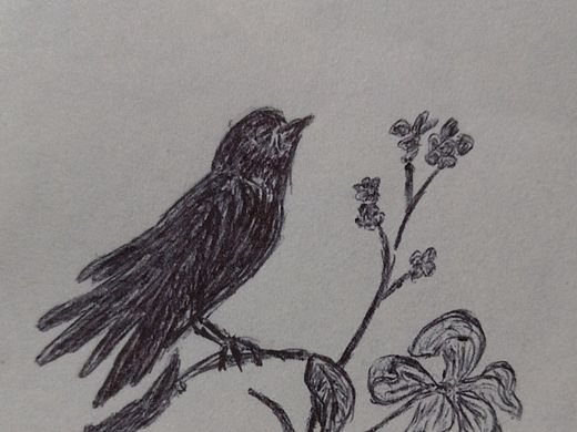 不知道什么鸟什么花（个人主页-ZNDIzMjU4ODQ=） - 创作习作 - 站酷设计师红尘印记原创素材 - 站酷ZCOOL