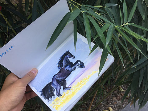 水彩作品（个人主页-ZMzAzOTA0MTI=） - 绘画 - 站酷设计师weijk028原创素材 - 站酷ZCOOL