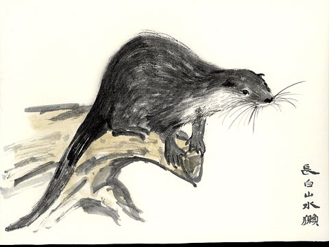 长白山动物（个人主页-ZMzExMDU2OTY=） - 创作习作 - 站酷设计师文几工作室原创素材 - 站酷ZCOOL