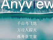 anyview原创登录界面