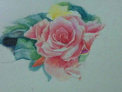 绘眼之花卉(步骤图)