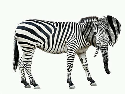 象头马尾（个人主页-ZMTgyNzY0MDQ=） - 运营设计 - 站酷设计师大莹子啊原创素材 - 站酷ZCOOL