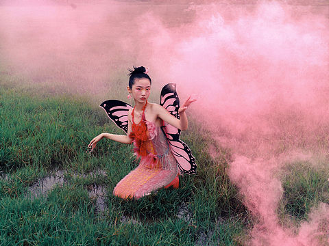 蝴蝶梦🦋