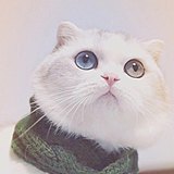 fightingfafa的头像