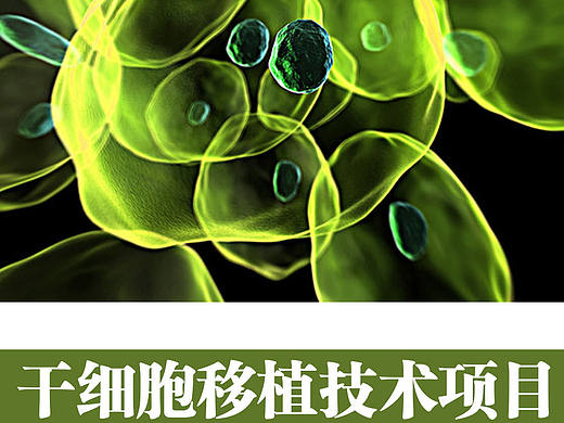 干细胞移植