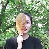 欧美江呀的头像