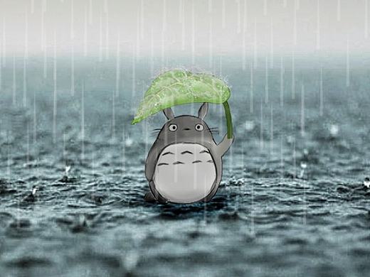 愿雨季会再来