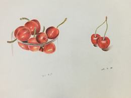 素描作品  哈哈  不要笑我