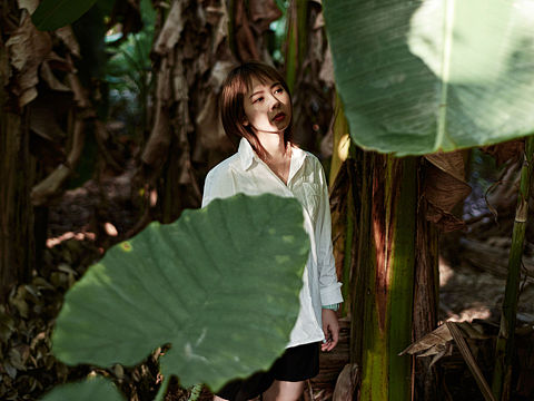 芭蕉树下的自己