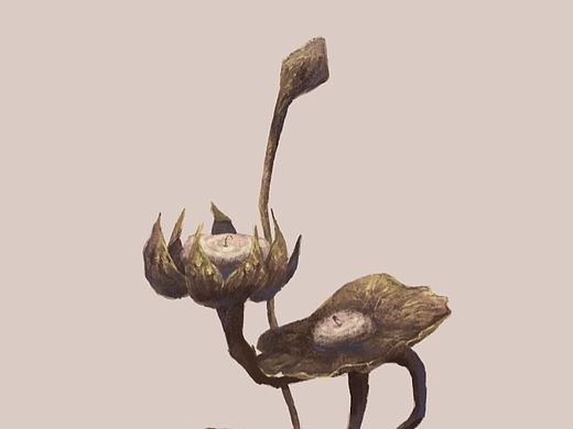 燭盞（個人主頁-ZNTQxOTIyMzY=） - 創(chuàng)作習(xí)作 - 站酷設(shè)計師婳久原創(chuàng)素材 - 站酷ZCOOL