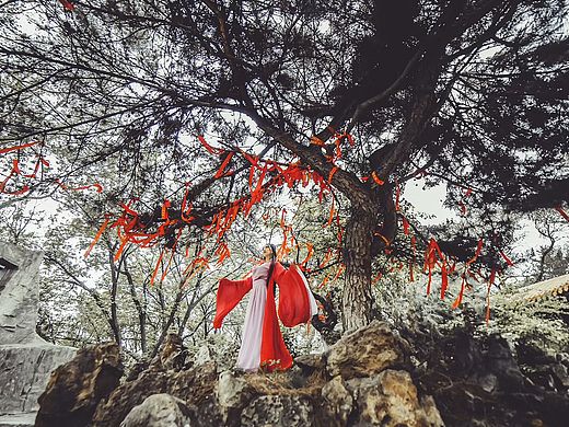 愿望_摄影:单车音乐_谷小松宣