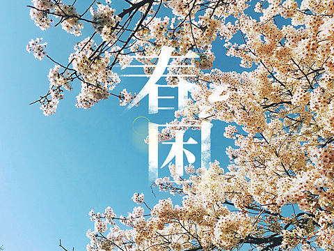我拍过的山啊树啊花啊草啊