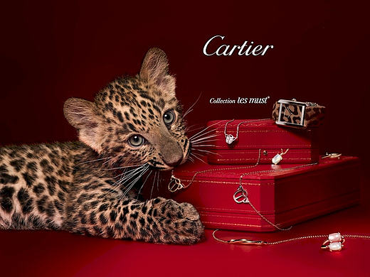 Cartier官网设计