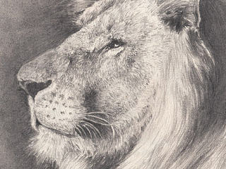 素描·寫實(shí)（個人主頁-ZNjE1NDMzMg==） - 繪畫 - 站酷設(shè)計師Shawn_Sai原創(chuàng)素材 - 站酷ZCOOL