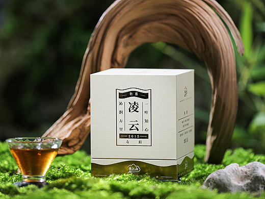 泡江山凌云老白茶 电商摄影