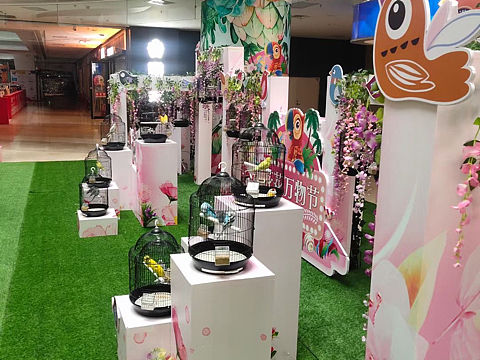 百鸟展出租 鹦鹉表演租赁