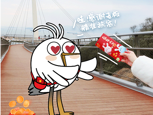 Look动图