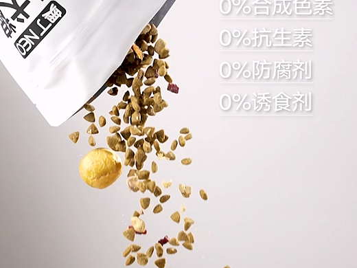 宠物头图视频丨狗粮