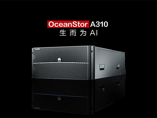 华为OceanStor A310产品发布视频