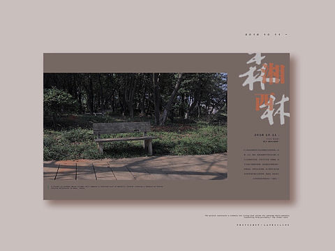 海报设计｜湘西森林