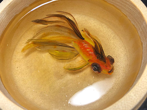 树脂画鱼（个人主页-ZNDIwOTU5NjA=） - 绘画 - 站酷设计师Jerry田野原创素材 - 站酷ZCOOL