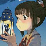 无风风风的头像