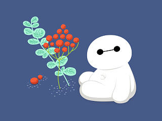 Hi,baymax