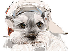 procreate－kuro&Cooper