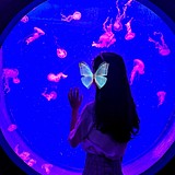 丸子同学不熬夜的头像