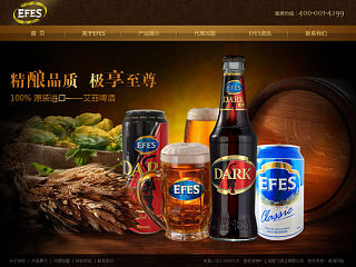 土耳其艾菲(EFES)啤酒网页设计